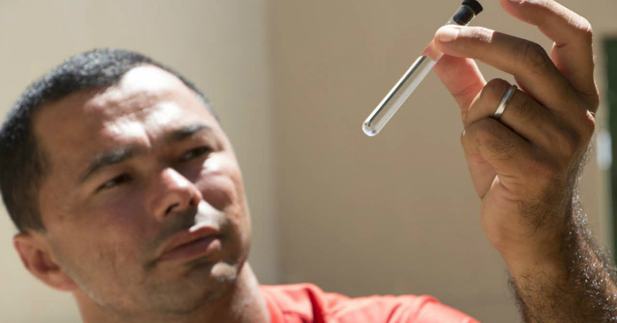 A health worker in Brazil, holding up a test tube for a project on mosquitoes and dengue