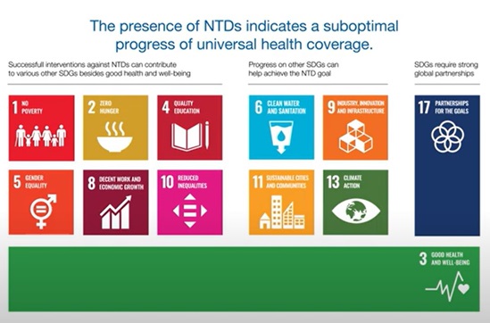 Neglected Tropical Diseases - Decadal Progress and Achievements